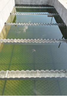 1646963290446675.png b98d4cc497d8df35ba7abc06daa2750.png